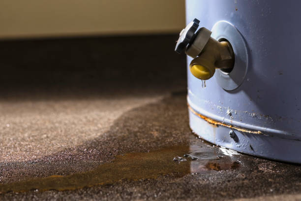 Best Professional water damage repair  in Schererville, IN