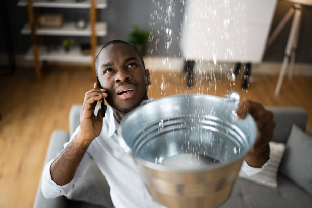 Best Carpet water damage restoration  in Schererville, IN