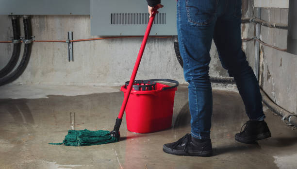 Best 24/7 water damage repair  in Schererville, IN