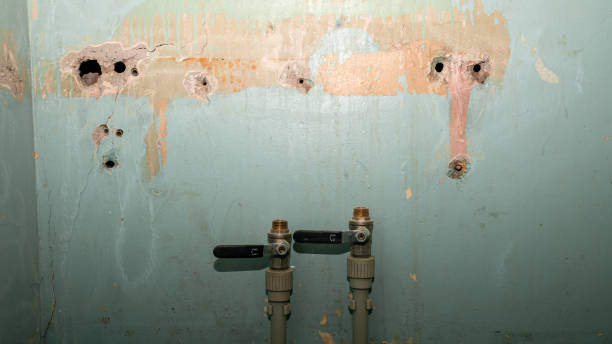 Best Sewage cleanup and water damage restoration  in Schererville, IN
